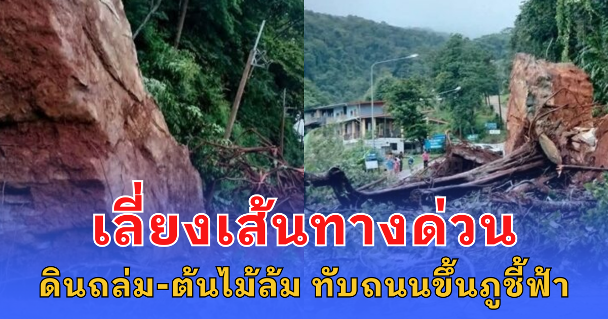 เลี่ยงเส้นทางด่วน ฝนตกหนักต่อเนื่อง ดินถล่ม-ต้นไม้ล้ม ทับถนนขึ้นภูชี้ฟ้า