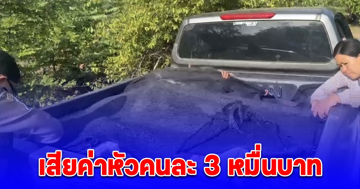 ซิ่งหนีไม่รอด ตำรวจทางหลวงรวบแรงงานเมียนมา 12 ราย ลอบเข้าเมืองเตรียมมุ่งหน้าสู่พื้นที่ชั้นใน เสียค่าหัวคนละ 3 หมื่นบาท