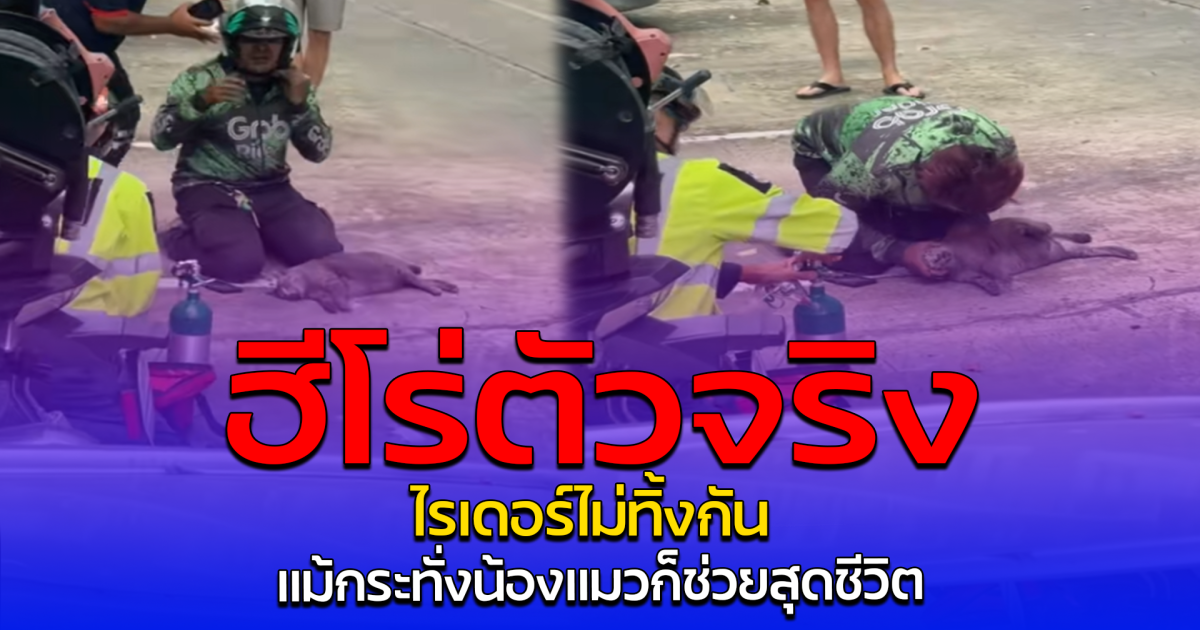 ฮีโร่ตัวจริง ไรเดอร์ไม่ทิ้งกัน แม้กระทั่งน้องแมวก็ช่วยสุดชีวิต