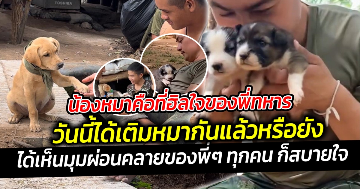 น้องหมาคือที่ฮิลใจของพี่ทหาร ได้เห็นมุมผ่อนคลายของพี่ๆ ทุกคน ก็สบายใจ ชาติก็ต้องปกป้อง สุนัขก็ต้องเลี้ยง