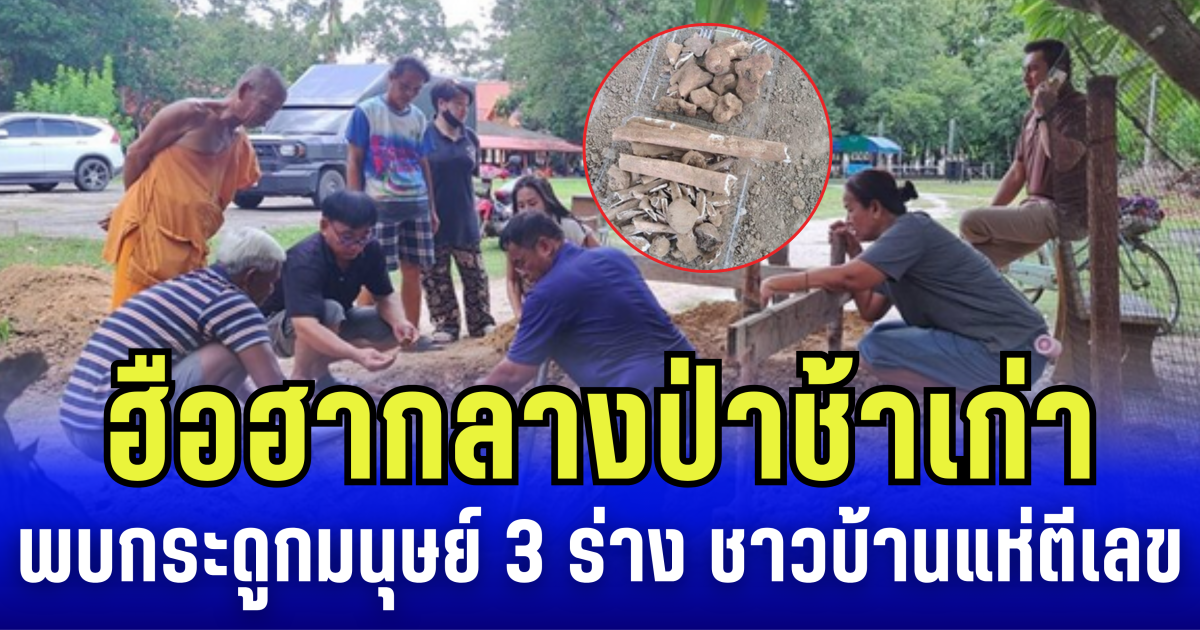 ฮือฮากลางป่าช้าเก่า คนงานขุดเจอกระดูกมนุษย์ 3 ร่าง ชาวบ้านแห่ตีเลข