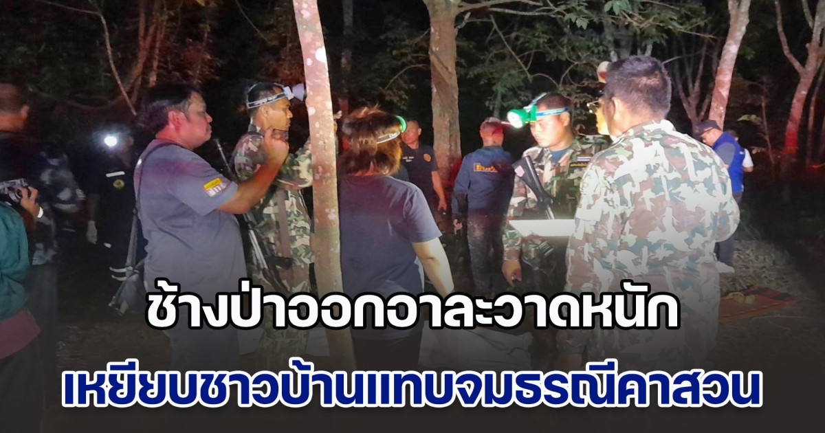 ช้างป่าออกอาละวาดหนัก เหยียบชาวบ้านแทบจมธรณีคาสวน หลานชายพยายามหอบร่าง พายื้อให้รอดชีวิต แต่ไม่สำเร็จ