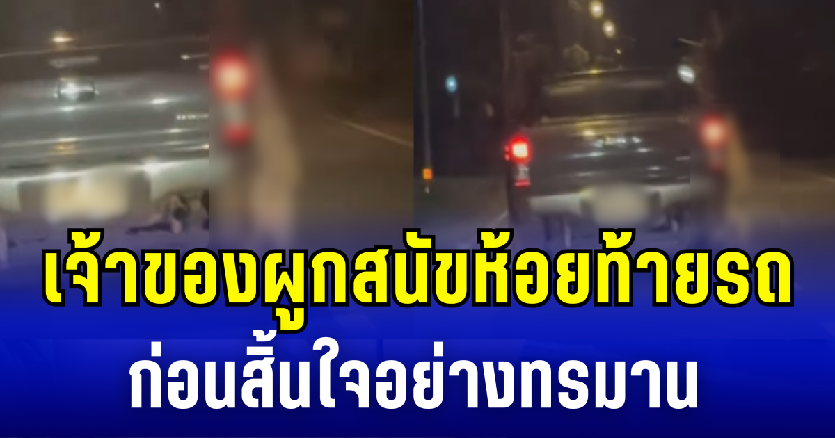 จิตใจทำด้วยอะไร! เจ้าของผูกสนัขห้อยท้ายรถ ก่อนสิ้นใจอย่างทรมาน