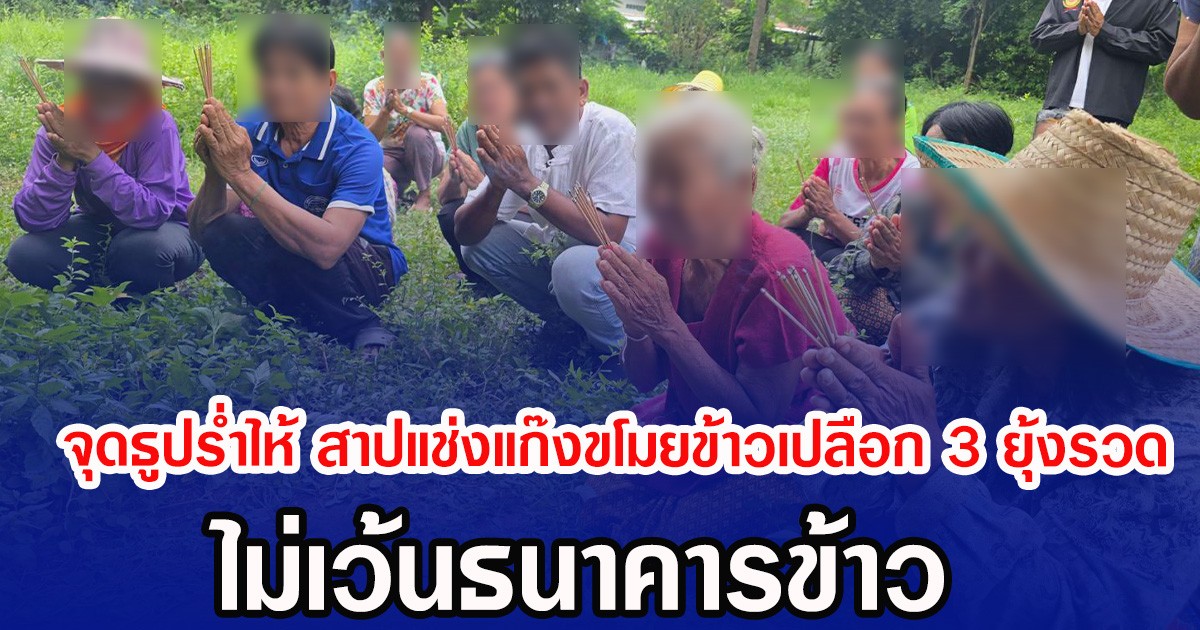จุดธูปร่ำไห้ สาปแช่งแก๊งขโมยข้าวเปลือก 3 ยุ้งรวด ไม่เว้นธนาคารข้าว