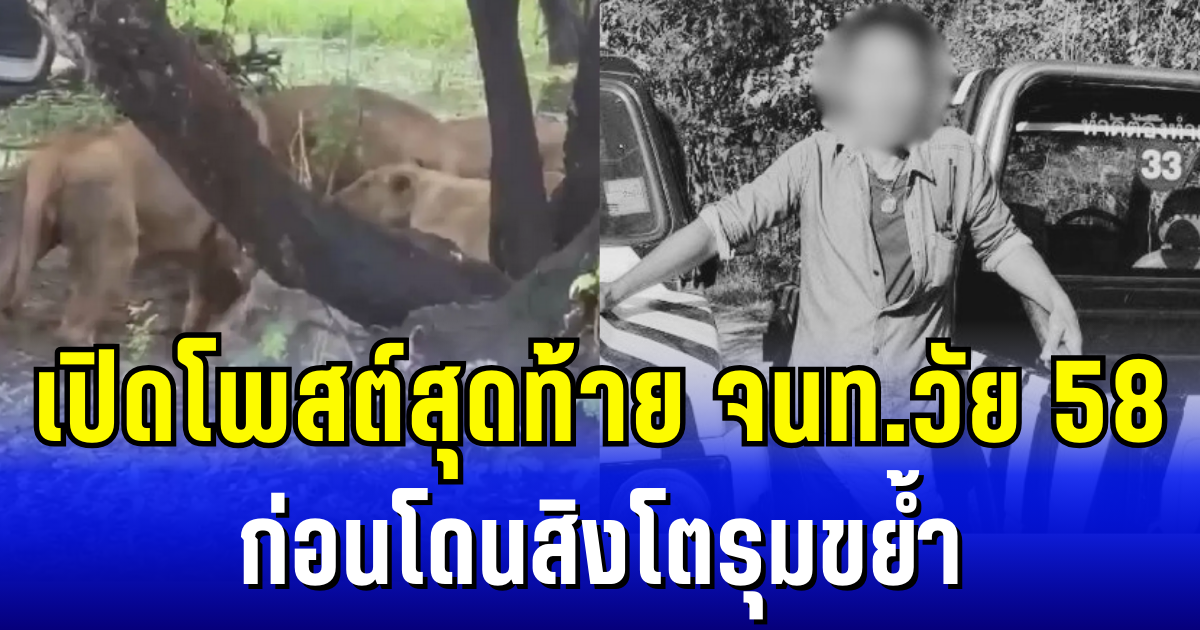เห็นแล้วสะเทือนใจ เปิดโพสต์สุดท้ายเจ้าหน้าที่วัย 58 ก่อนโดนสิงโตรุมขย้ำกลางสวนสัตว์ดัง