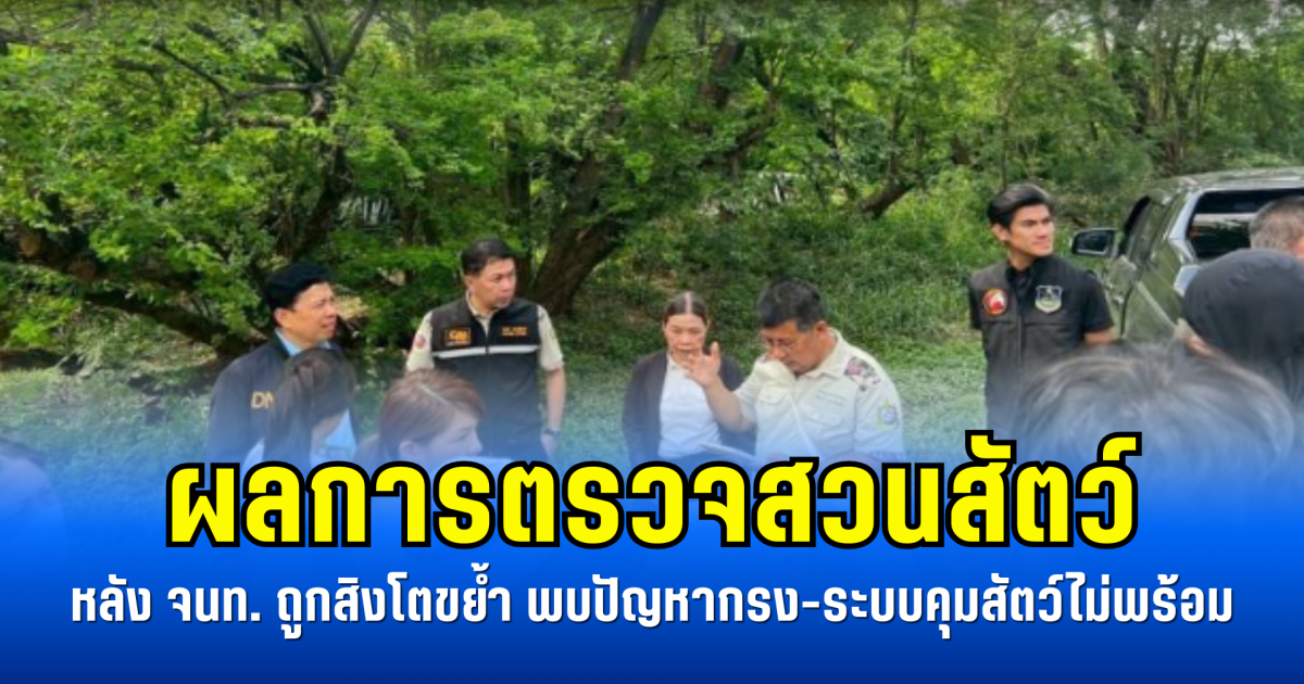 ผลการตรวจสวนสัตว์ หลัง จนท. ถูกสิงโตขย้ำ พบปัญหากรง-ระบบคุมสัตว์ไม่พร้อม