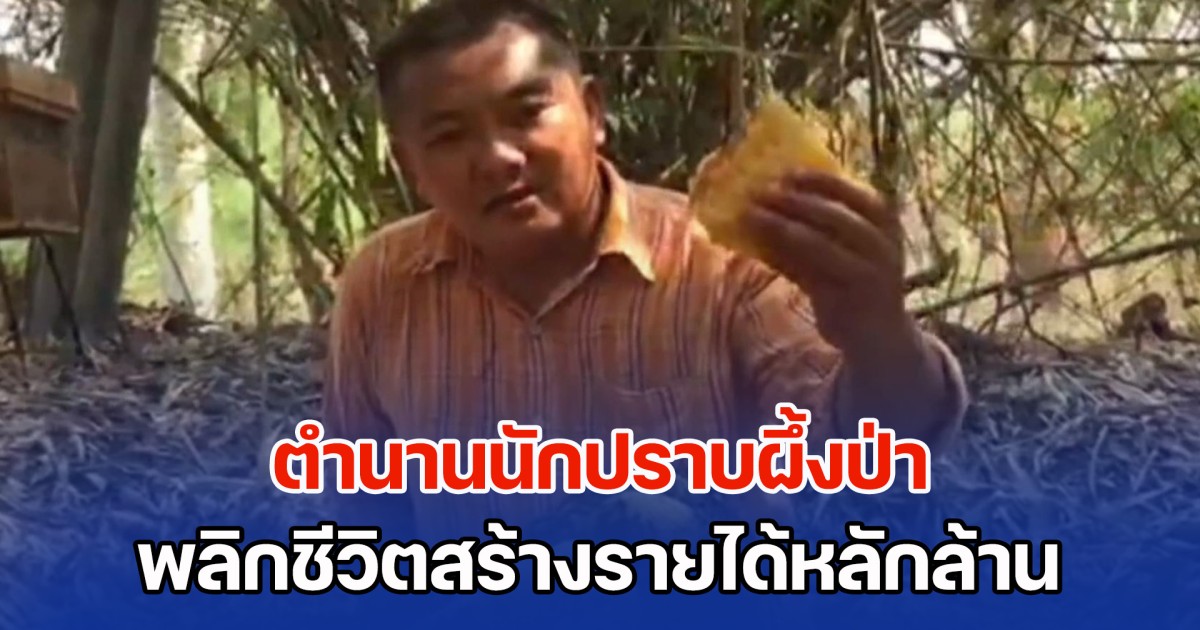 ตำนานนักปราบผึ้งป่า พลิกชีวิตด้วยผึ้งโพรงป่า สร้างรายได้หลักล้าน