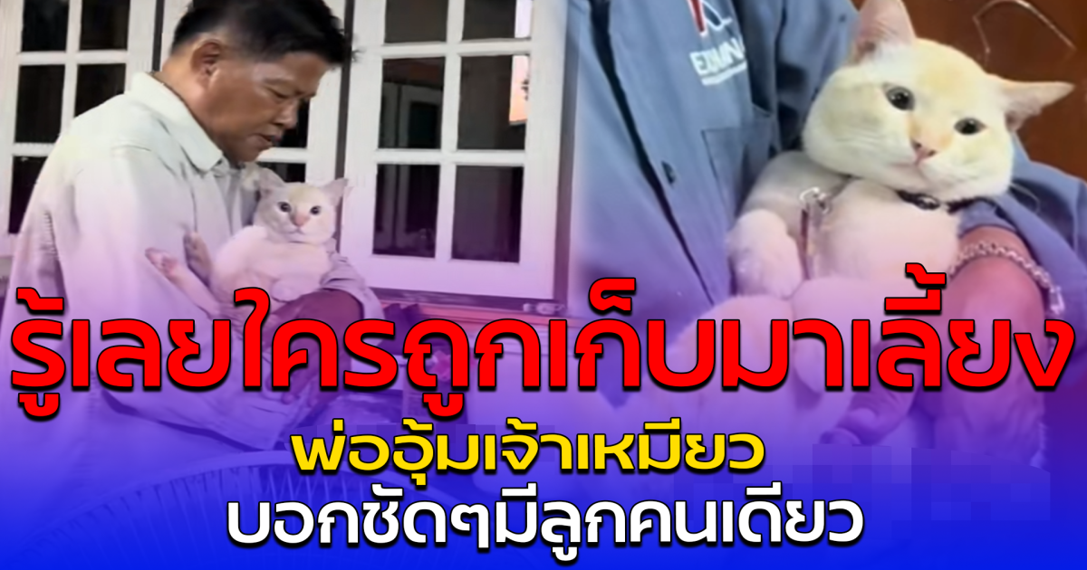 รู้เลยใครถูกเก็บมาเลี้ยง พ่ออุ้มเจ้าเหมียว บอกชัดๆมีลูกคนเดียว