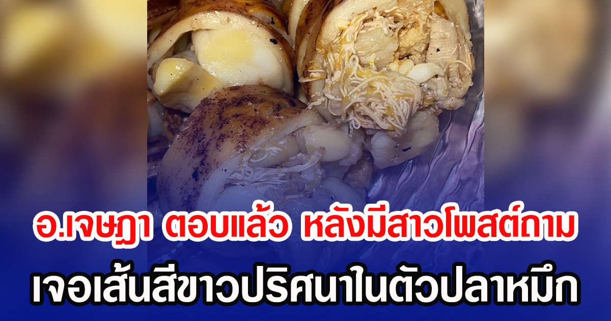 อ.เจษฎา ตอบแล้ว หลังมีสาวโพสต์ถาม เจอเส้นสีขาวปริศนาในตัวปลาหมึก