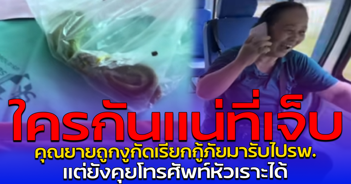 ใครกันแน่ที่เจ็บ คุณยายถูกงูกัดเรียกกู้ภัยมารับไปรพ. แต่ยังคุยโทรศัพท์หัวเราะได้