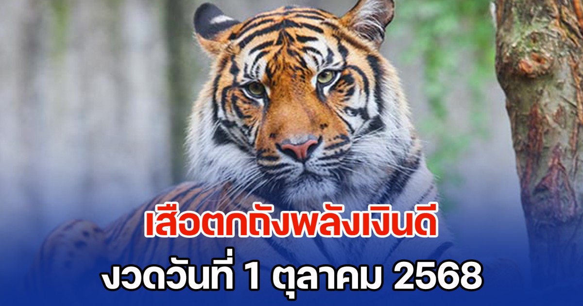 เซฟเก็บไว้เลย แนวทางจาก เสือตกถังพลังเงินดี วันที่ 1 ตุลาคม 2568