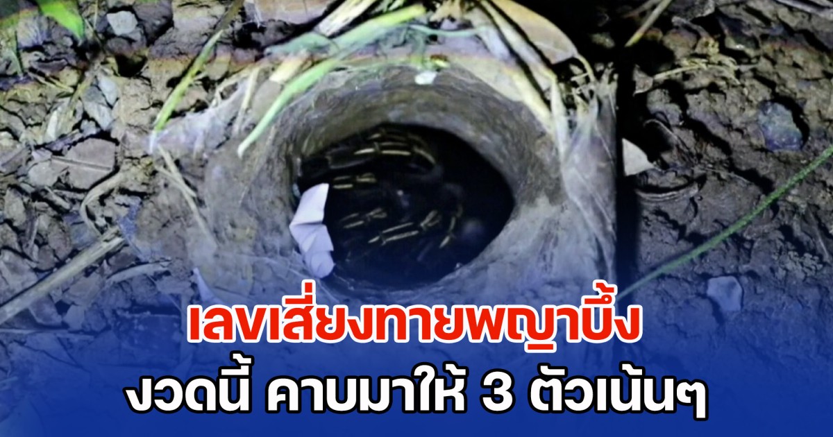 สมการรอคอย! เลขเสี่ยงทายพญาบึ้ง งวดนี้ คาบมาให้ 3 ตัวเน้นๆ