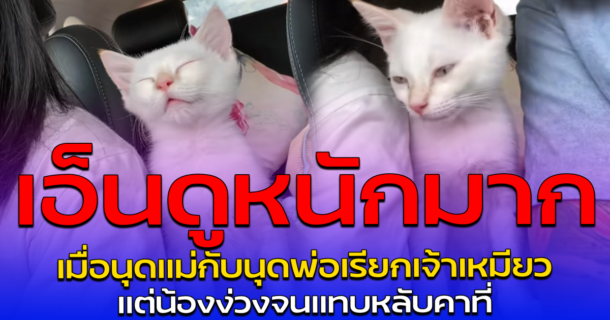 เอ็นดูหนักมาก เมื่อนุดแม่กับนุดพ่อเรียกเจ้าเหมียว แต่น้องง่วงจนแทบหลับคาที่