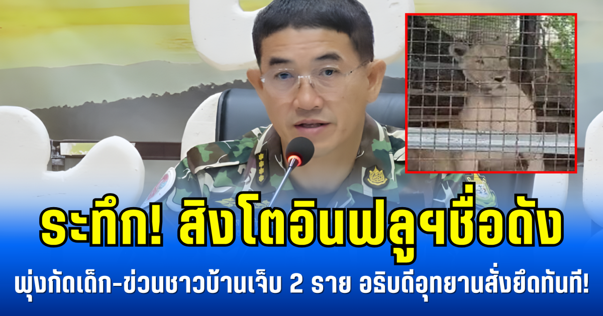 ระทึก!  สิงโตอินฟลูฯชื่อดัง พุ่งกัดเด็ก-ข่วนชาวบ้านเจ็บ 2 ราย อธิบดีอุทยานสั่งยึดทันที!