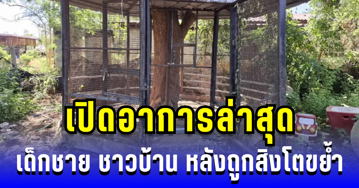 เปิดอาการล่าสุด เด็กชาย ชาวบ้าน หลังถูกสิงโตอินฟลูฯ ขย้ำ
