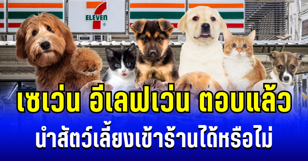 หลายคนสงสัย เซเว่น อีเลฟเว่น ตอบแล้ว นำสัตว์เลี้ยงเข้าร้านได้หรือไม่