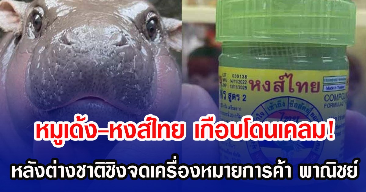 หมูเด้ง-หงส์ไทย เกือบโดนเคลม! หลังต่างชาติชิงจดเครื่องหมายการค้า พาณิชย์