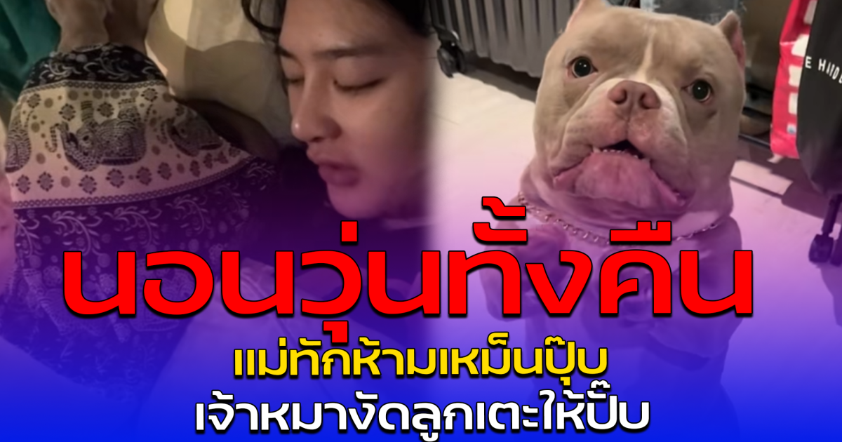 นอนวุ่นทั้งคืน แม่ทักห้ามเหม็นปุ๊บ เจ้าหมางัดลูกเตะให้ปั๊บ