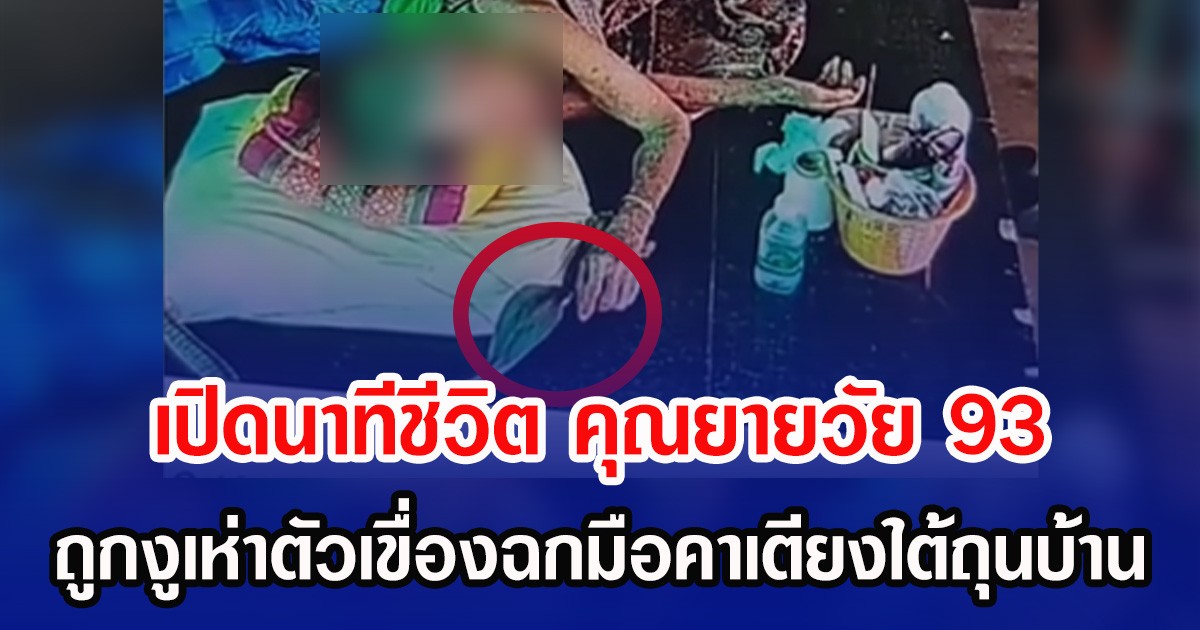 เปิดนาทีชีวิต คุณยายวัย 93 ถูกงูเห่าตัวเขื่องฉกมือคาเตียงใต้ถุนบ้าน