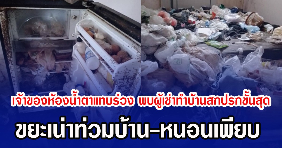 สาวเจ้าของห้องนํ้าตาแทบร่วง หลังพบผู้เช่าทำบ้านสกปรกขั้นสุด ขยะเน่าท่วมบ้าน-หนอนเพียบ