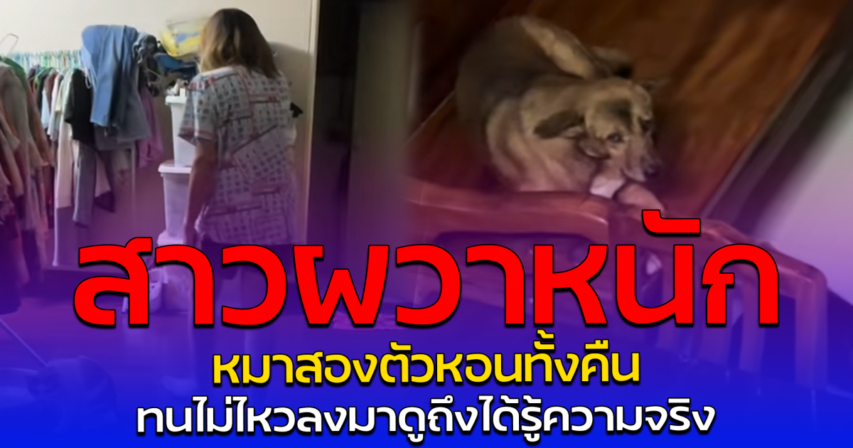 สาวผวาหนัก หมาสองตัวหอนทั้งคืน ทนไม่ไหวลงมาดูถึงได้รู้ความจริง