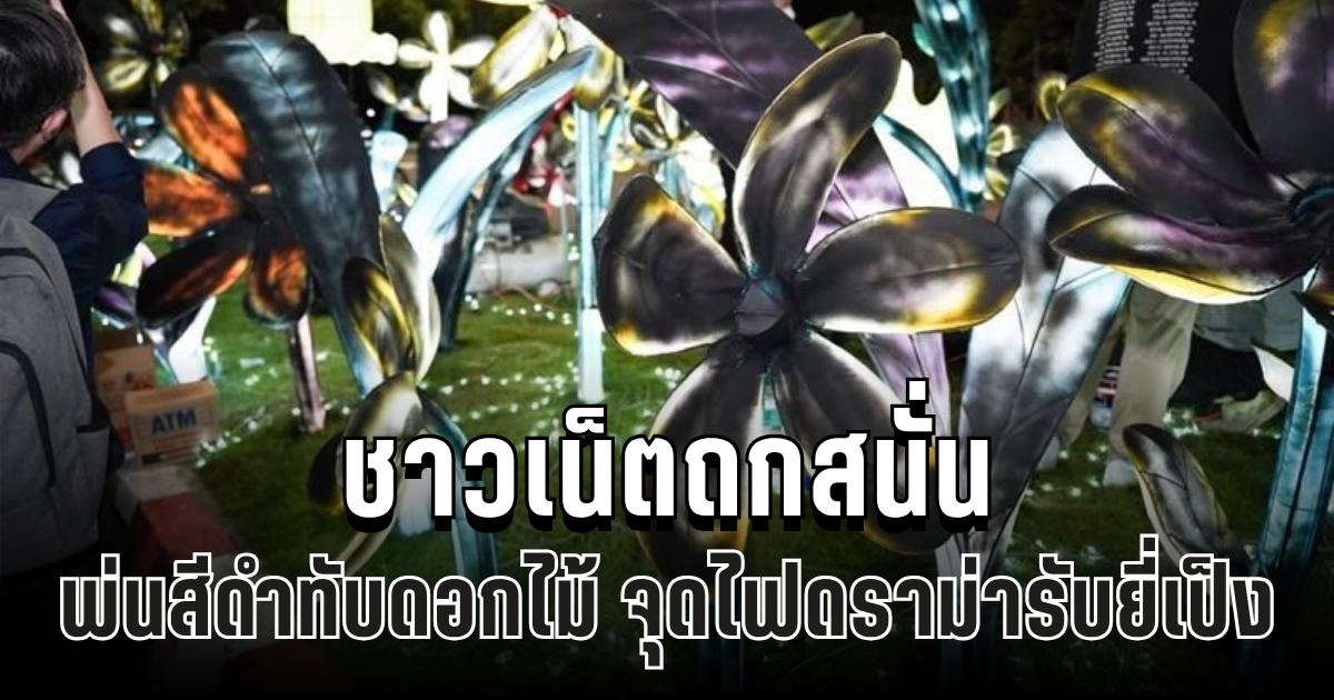 ดราม่าเดือด! เทศบาลฯเชียงใหม่พ่นสีดำทับดอกไม้ ทำชาวเน็ตถกสนั่น