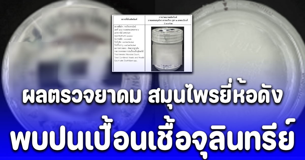 อย. เผยผลตรวจยาดม สมุนไพรยี่ห้อดัง พบปนเปื้อนเชื้อจุลินทรีย์