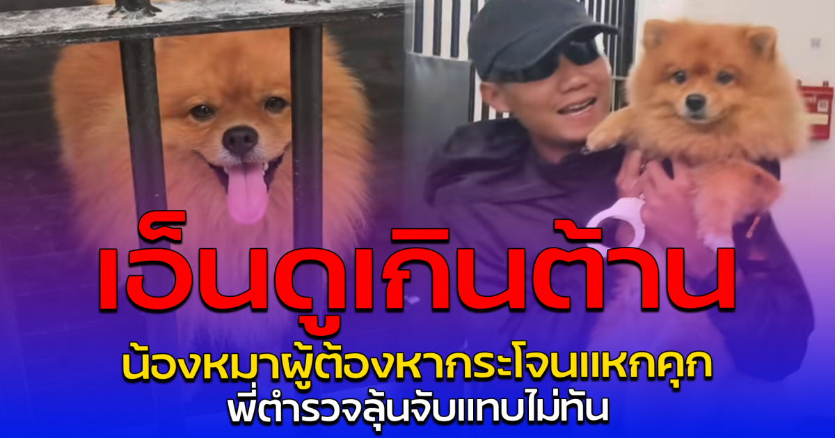 เอ็นดูเกินต้าน น้องหมาผู้ต้องหากระโจนแหกคุก พี่ตำรวจลุ้นจับแทบไม่ทัน