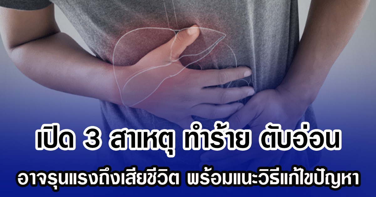 เปิด 3 สาเหตุ ทำร้าย ตับอ่อน อาจรุนแรงถึงเสียชีวิต พร้อมแนะวิธีแก้ไขปัญหา