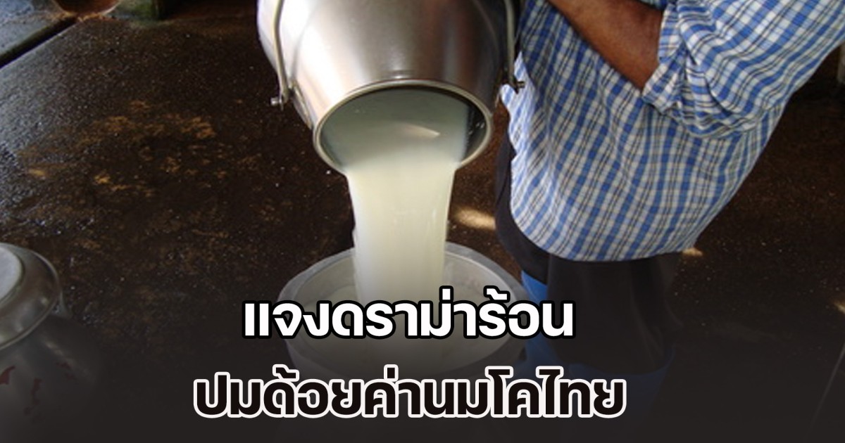 กรมปศุสัตว์ แจงดราม่าร้อน ปมด้อยค่านมโคไทย