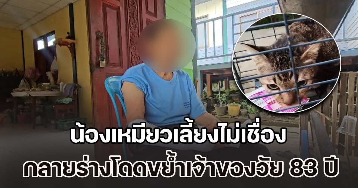 อุทาหรณ์ทาสแมว! น้องเหมียวเลี้ยงไม่เชื่อง กลายร่างโดดขย้ำเจ้าของวัย 83 ปี เจ็บสาหัส ต้องเย็บ 100 กว่าเข็ม ฉีดยาอีกกว่า 63 เข็ม