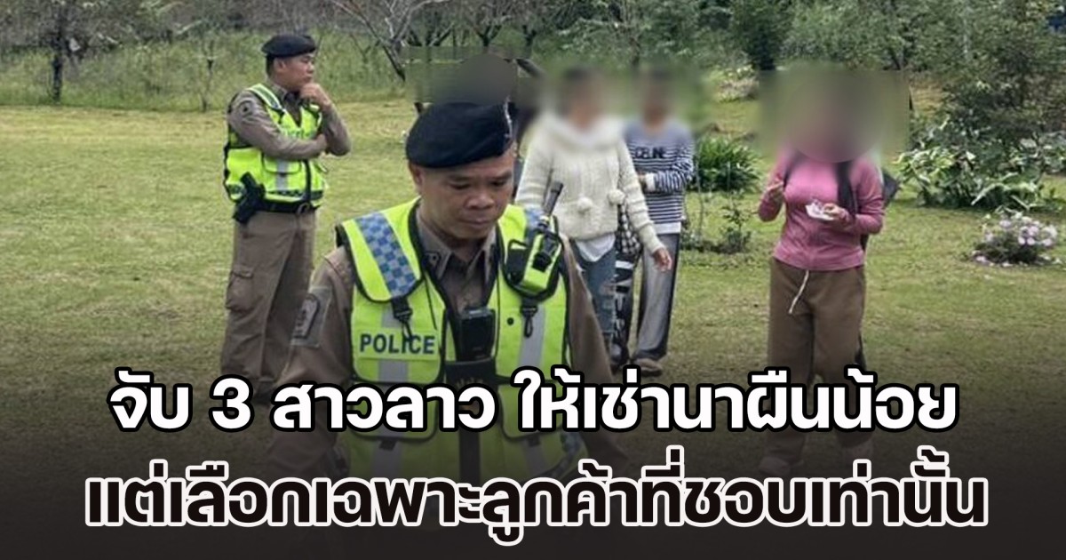 จับ 3 สาวลาว ให้เช่านาผืนน้อย โดยจะมีคนหางานมาให้ แต่จะเลือกเฉพาะลูกค้าที่ชอบเท่านั้น ถึงจะยอมให้บริการ