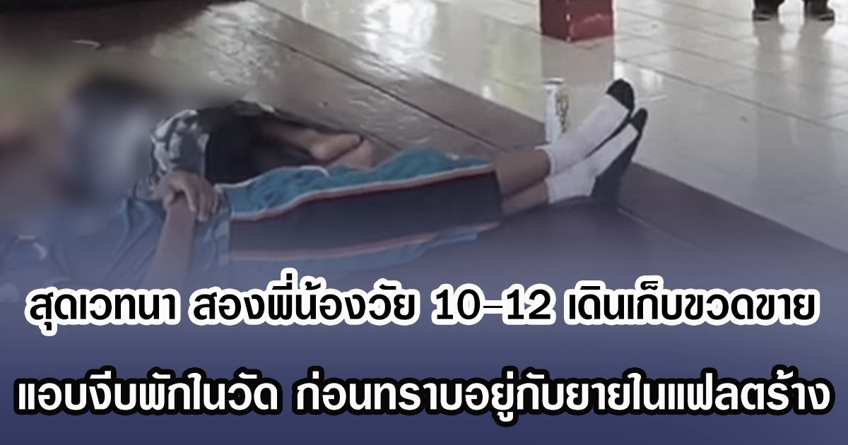สุดเวทนา สองพี่น้องวัย 10–12 เดินเก็บขวดขาย แอบงีบพักในวัด ก่อนทราบอยู่กับยายในแฟลตร้าง