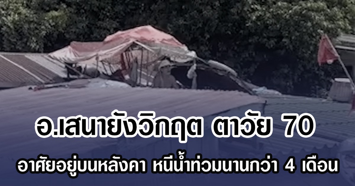 อ.เสนายังวิกฤต ตาวัย 70 อาศัยอยู่บนหลังคา หนีนํ้าท่วมนานกว่า 4 เดือน