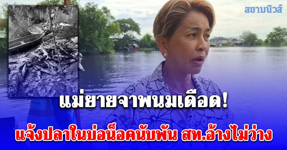 แม่ยายจาพนมเดือด แจ้งปลาในบ่อน็อคนับพัน สท.อ้างไม่ว่าง จนท.ไม่มี