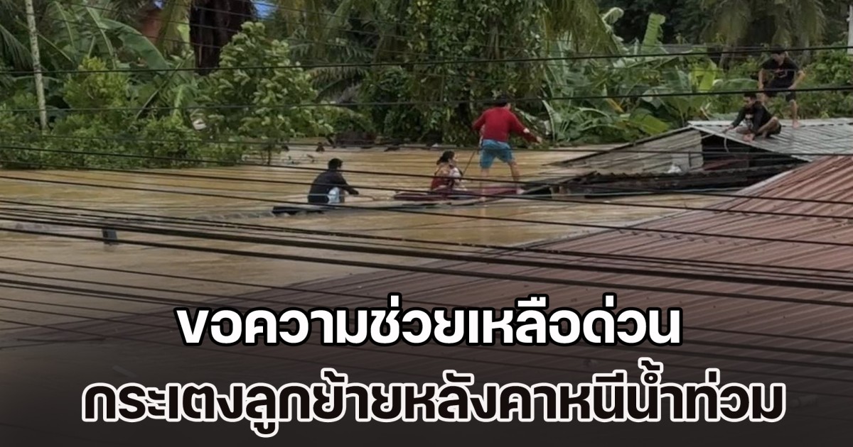 มิดหลังคาบ้านแล้ว! ขอความช่วยเหลือด่วน กระเตงลูกย้ายหลังคาหนีน้ำท่วม