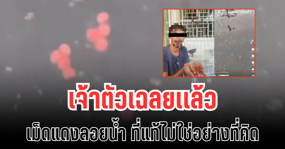 เกือบเข้าใจผิด! เจ้าตัวเฉลยเเล้ว เม็ดแดงลอยน้ำ ที่แท้ไม่ใช่อย่างที่คิด
