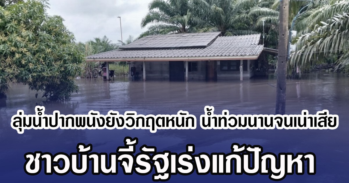 ลุ่มน้ำปากพนังยังวิกฤตหนัก น้ำท่วมนานจนเน่าเสีย ชาวบ้านจี้รัฐเร่งแก้ปัญหา