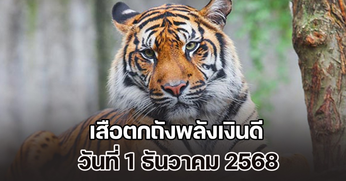 มาแล้ว! แนวทางจาก เสือตกถังพลังเงินดี วันที่ 1 ธันวาคม 2568