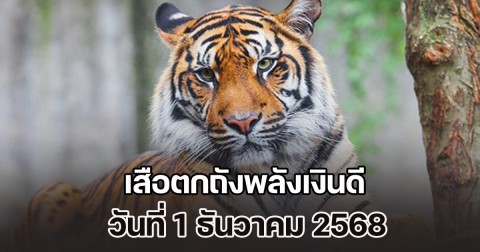 มาแล้ว! แนวทางจาก เสือตกถังพลังเงินดี วันที่ 1 ธันวาคม 2568