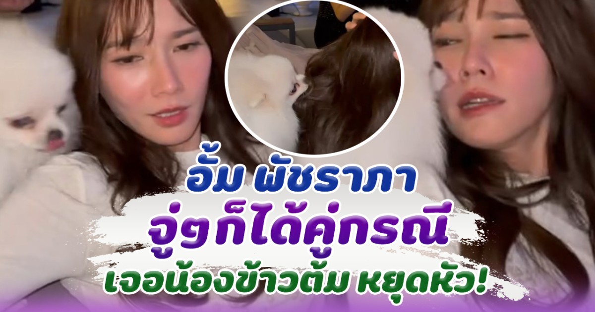 อยู่ๆก็ได้คู่กรณี อั้ม พัชราภา โดนน้องข้าวต้ม หยุมหัว ทำคนเอ็นดูหนักมา