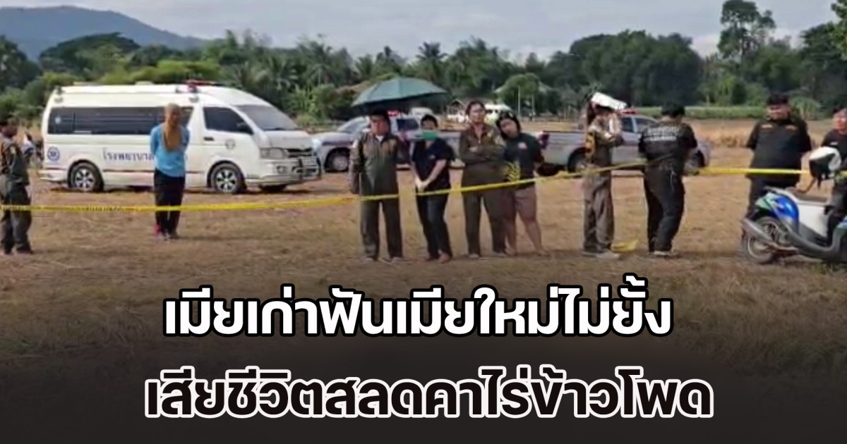 แค้นถูกแย่งสามีไป เมียเก่าฟันเมียใหม่ไม่ยั้ง เสียชีวิตสลดคาไร่ข้าวโพด