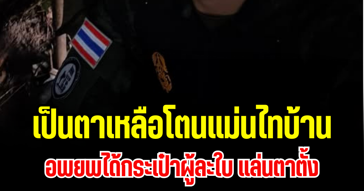 เป็นตาเหลือโตนแม่นไทบ้าน หอบลูกหอบหลานน้อย ตายายเฒ่า ๆ อพยพได้กระเป๋าผู้ละใบ แล่นตาตั้ง