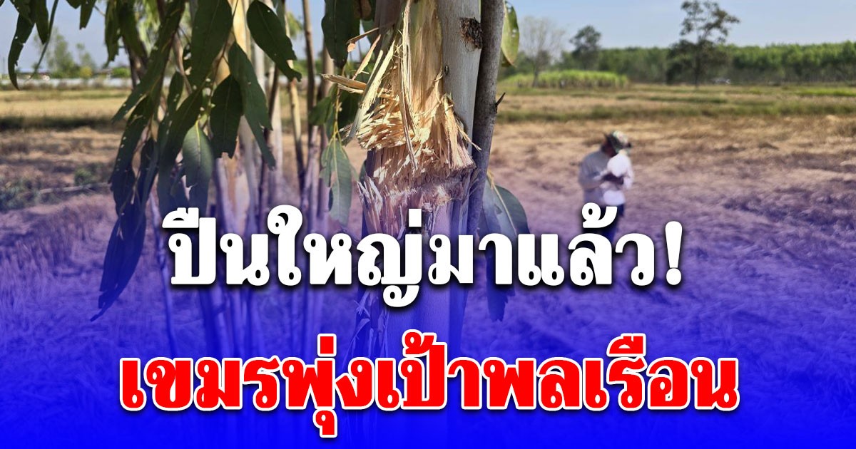 ปืนใหญ่มาแล้ว! เขมรพุ่งเป้าพลเรือน ผู้นำสั่งชาวบ้านเข้าหลุมหลบภัยวุ่น