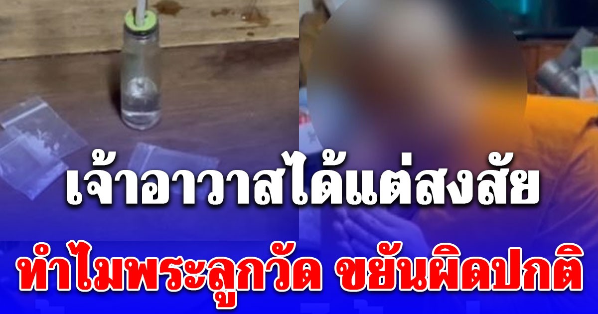 เจ้าอาวาสได้แต่สงสัย ทำไมพระลูกวัด ขยันผิดปกติ สุดท้ายรู้ความจริง แจ้งตำรวจทันที!