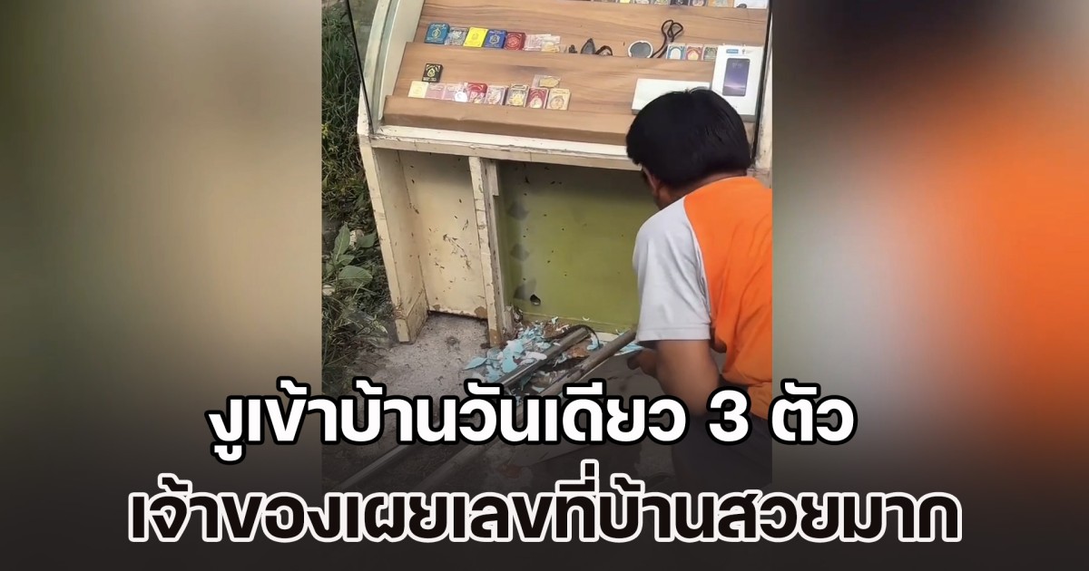 งูเข้าบ้านวันเดียว 3 ตัว เชื่อมาให้โชค เลขที่บ้านสวยมาก ลุ้น 16 ธ.ค. 68