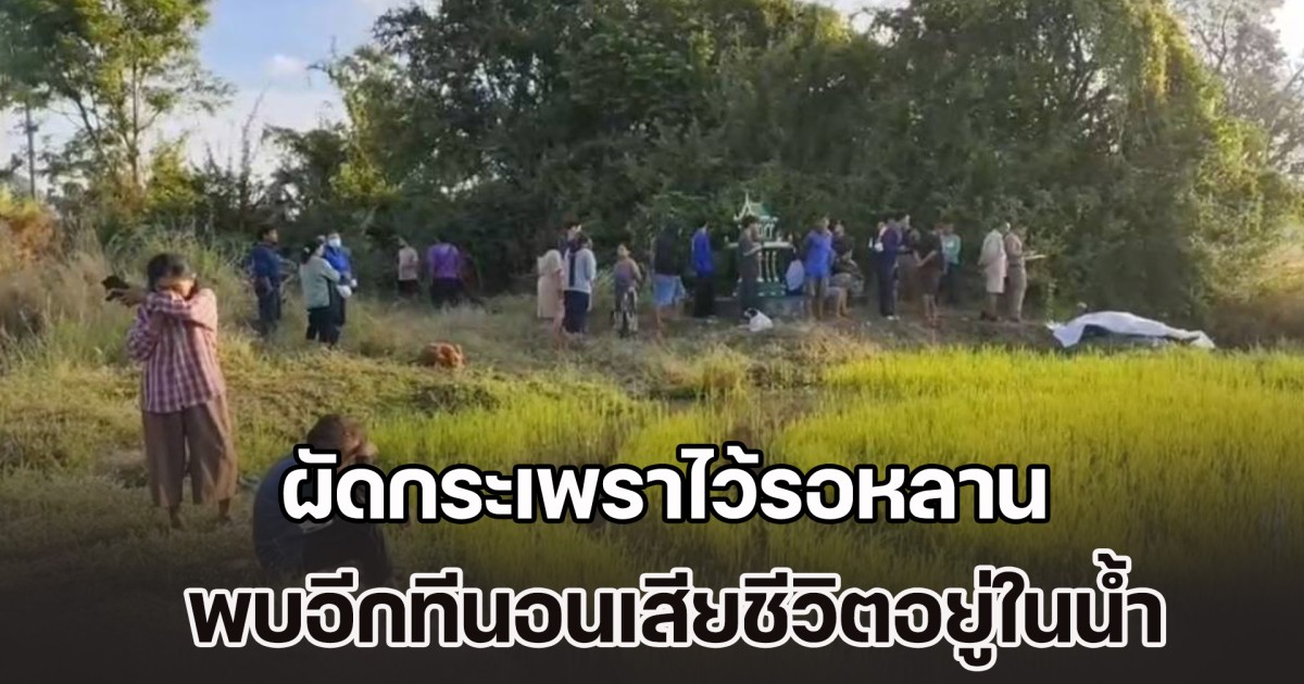 ปู่ย่าเศร้า! ผัดกระเพราไว้รอหลาน ออกไปดักหนู-ดักปลาไหล พบอีกทีนอนเสียชีวิตอยู่ในน้ำ