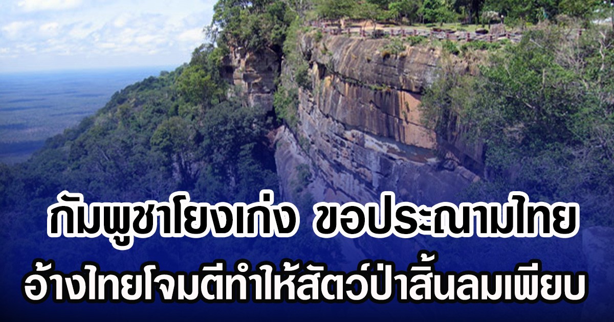 กัมพูชาโยงเก่ง ขอประณามไทย อ้างไทยโจมตีทำให้สัตว์ป่าสิ้นลมเพียบ