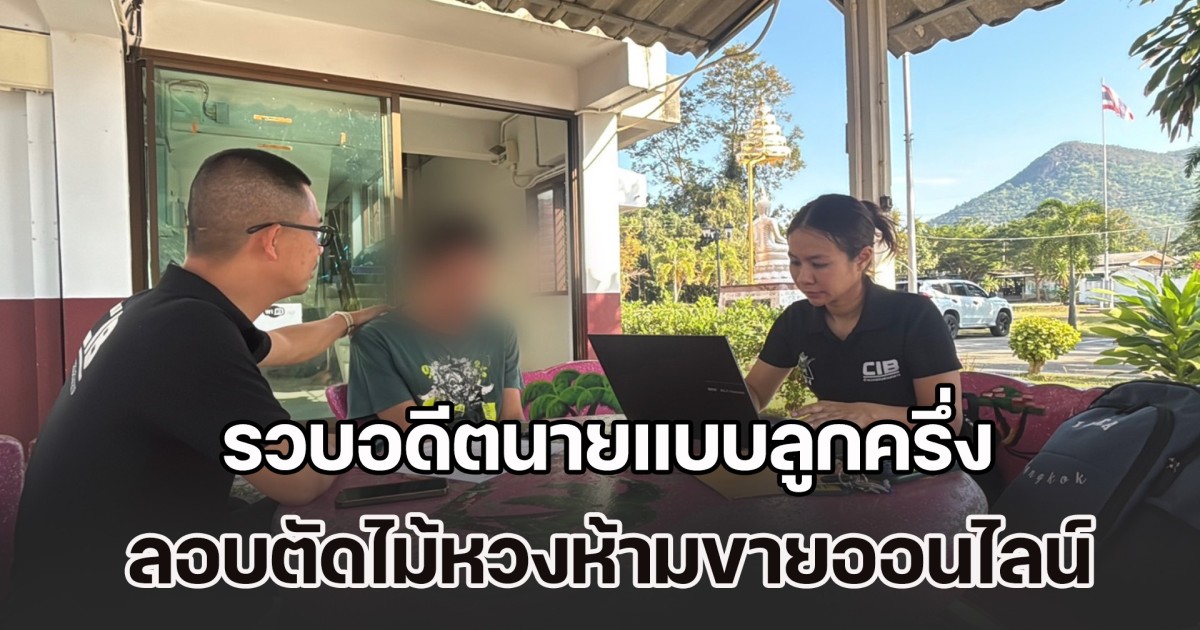 รวบอดีตนายแบบลูกครึ่งไทย-เยอรมัน หนีหมายศาล ลอบตัดไม้หวงห้ามขายออนไลน์ไม่เกรงกฎหมาย