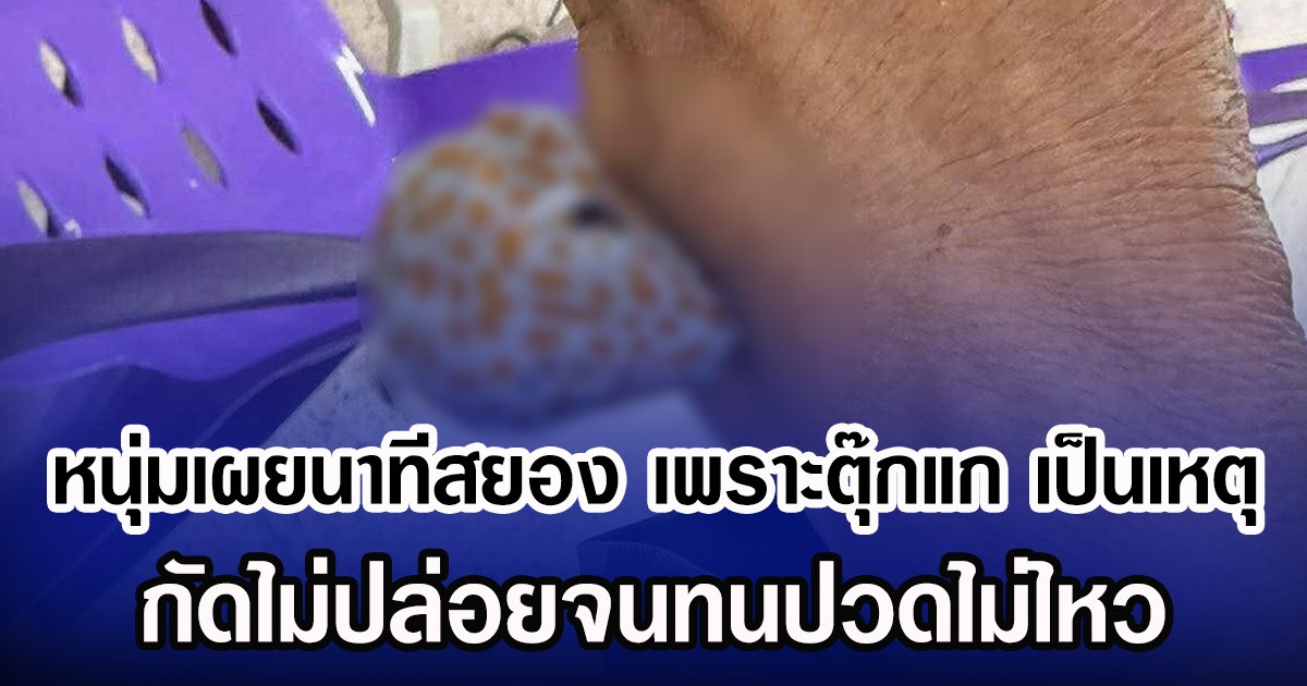 หนุ่มเผยนาทีสยอง เพราะตุ๊กแก เป็นเหตุ กัดไม่ปล่อยจนทนปวดไม่ไหว